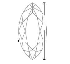 top view